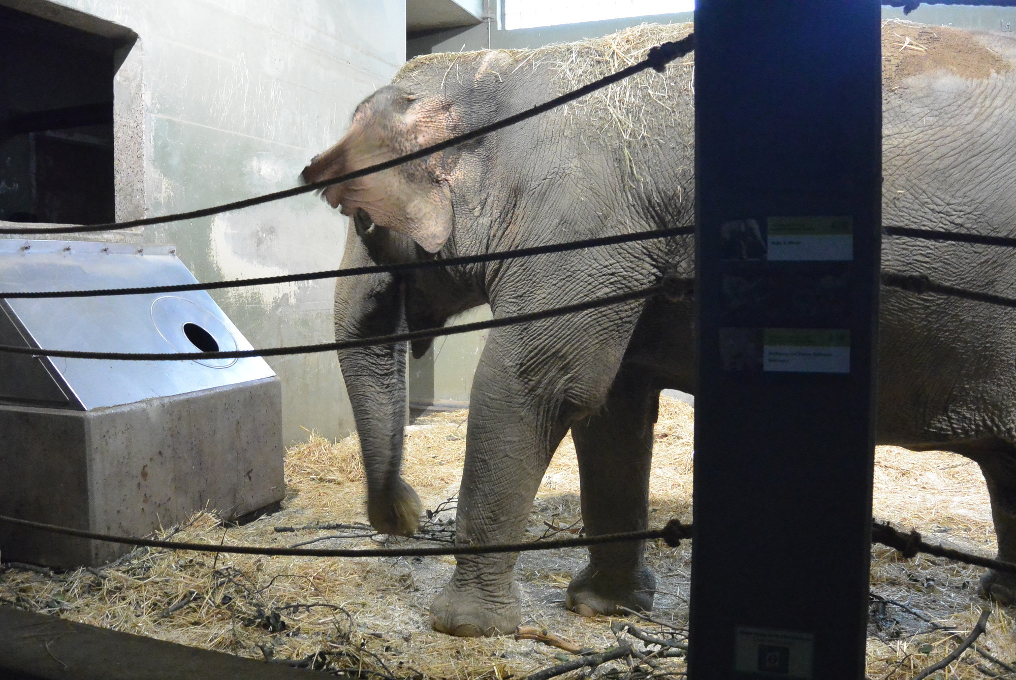 Das A3 Sommerfest fand am 21. Juli 2016 im Zoo Augsburg statt. Foto: B4B WIRTSCHAFTSLEBEN SCHWABEN