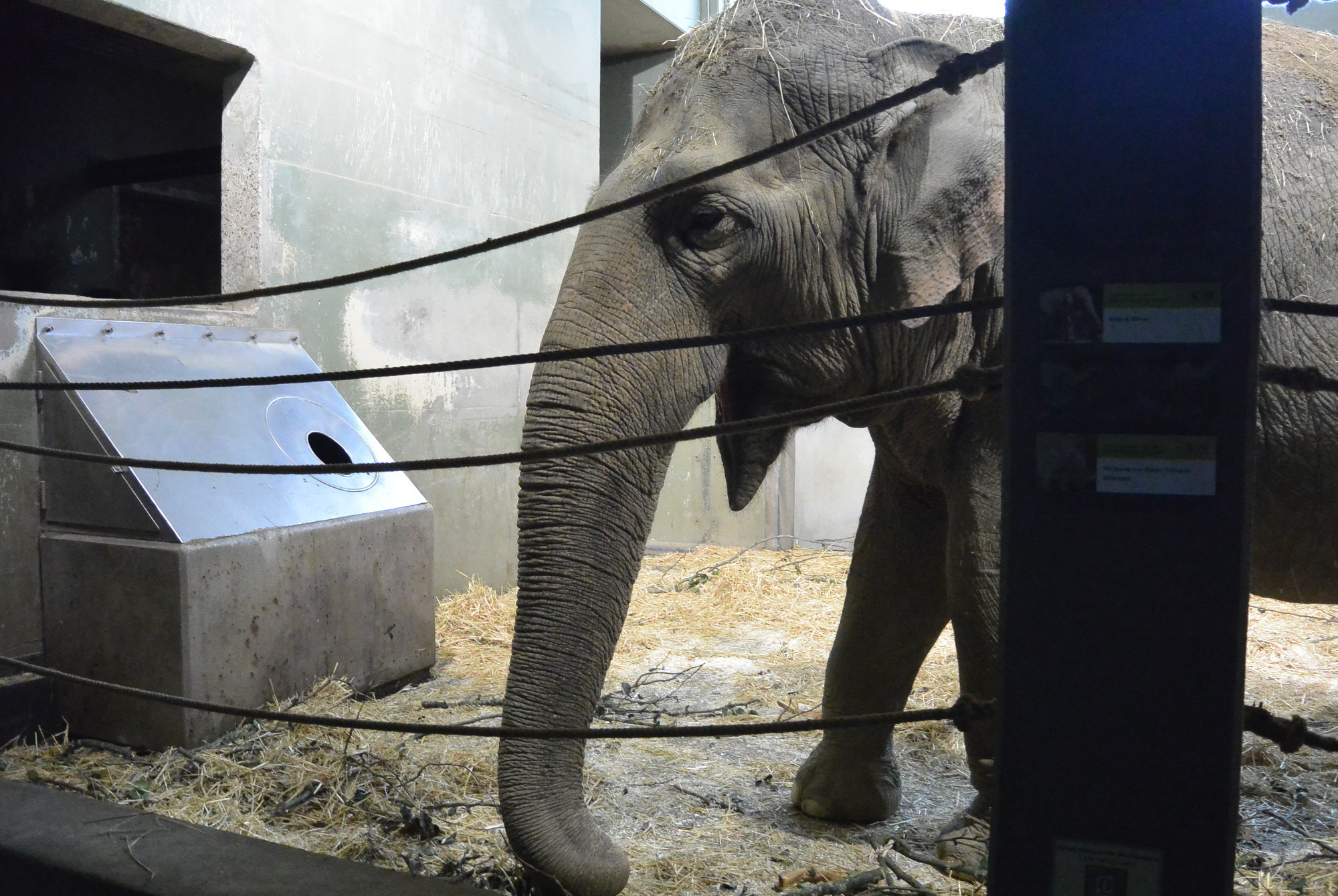 Das A3 Sommerfest fand am 21. Juli 2016 im Zoo Augsburg statt. Foto: B4B WIRTSCHAFTSLEBEN SCHWABEN