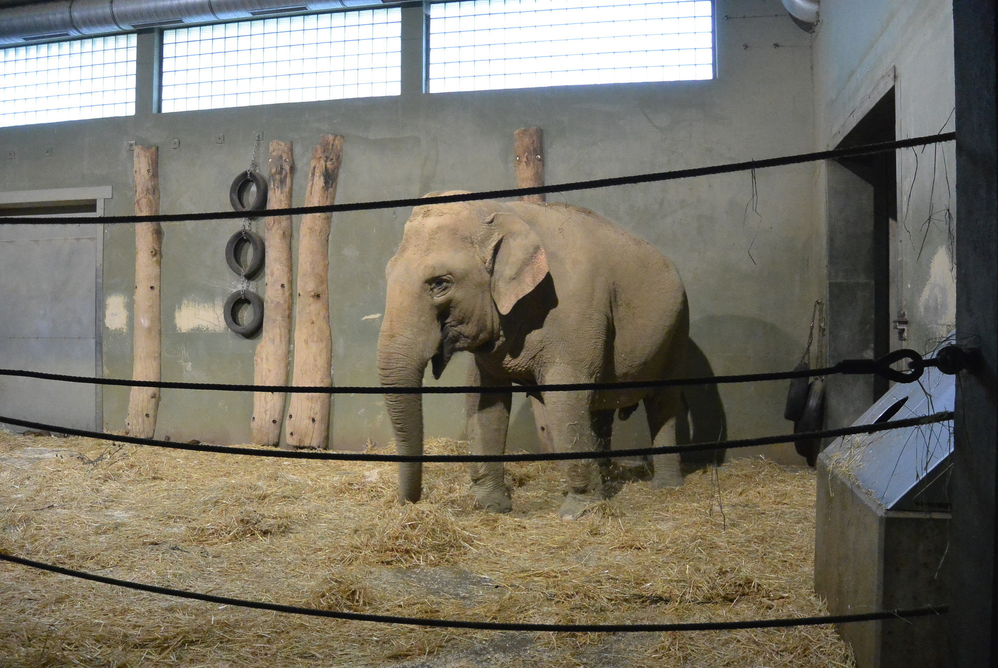 Das A3 Sommerfest fand am 21. Juli 2016 im Zoo Augsburg statt. Foto: B4B WIRTSCHAFTSLEBEN SCHWABEN