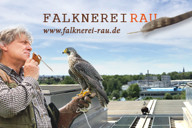 Foto: Falknerei Rau