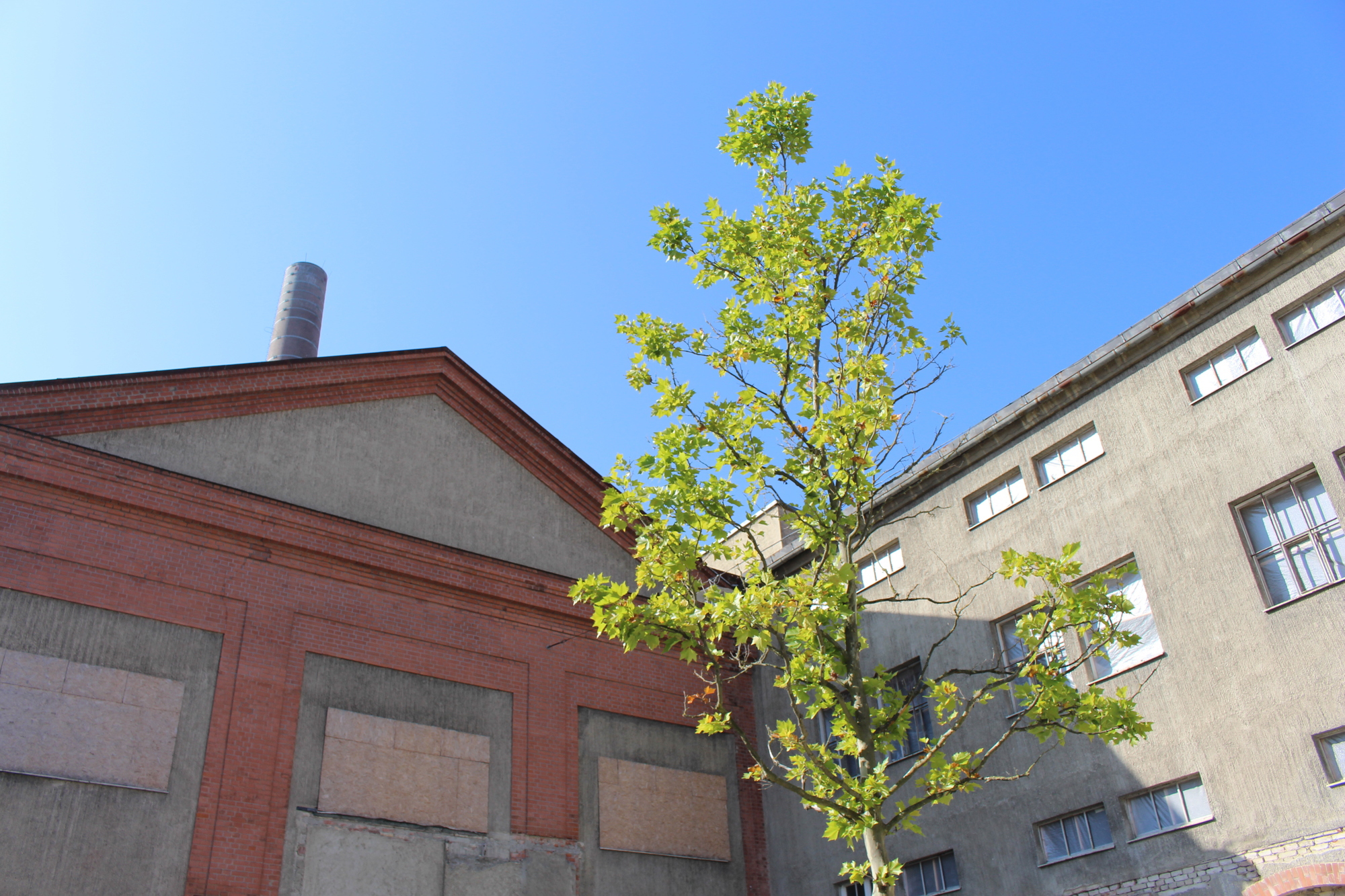 Im Kesselhaus der Alten Kammgarnspinnerei: Hier entsteht bald ein Hotel. Foto: B4B WIRTSCHAFTSLEBEN SCHWABEN