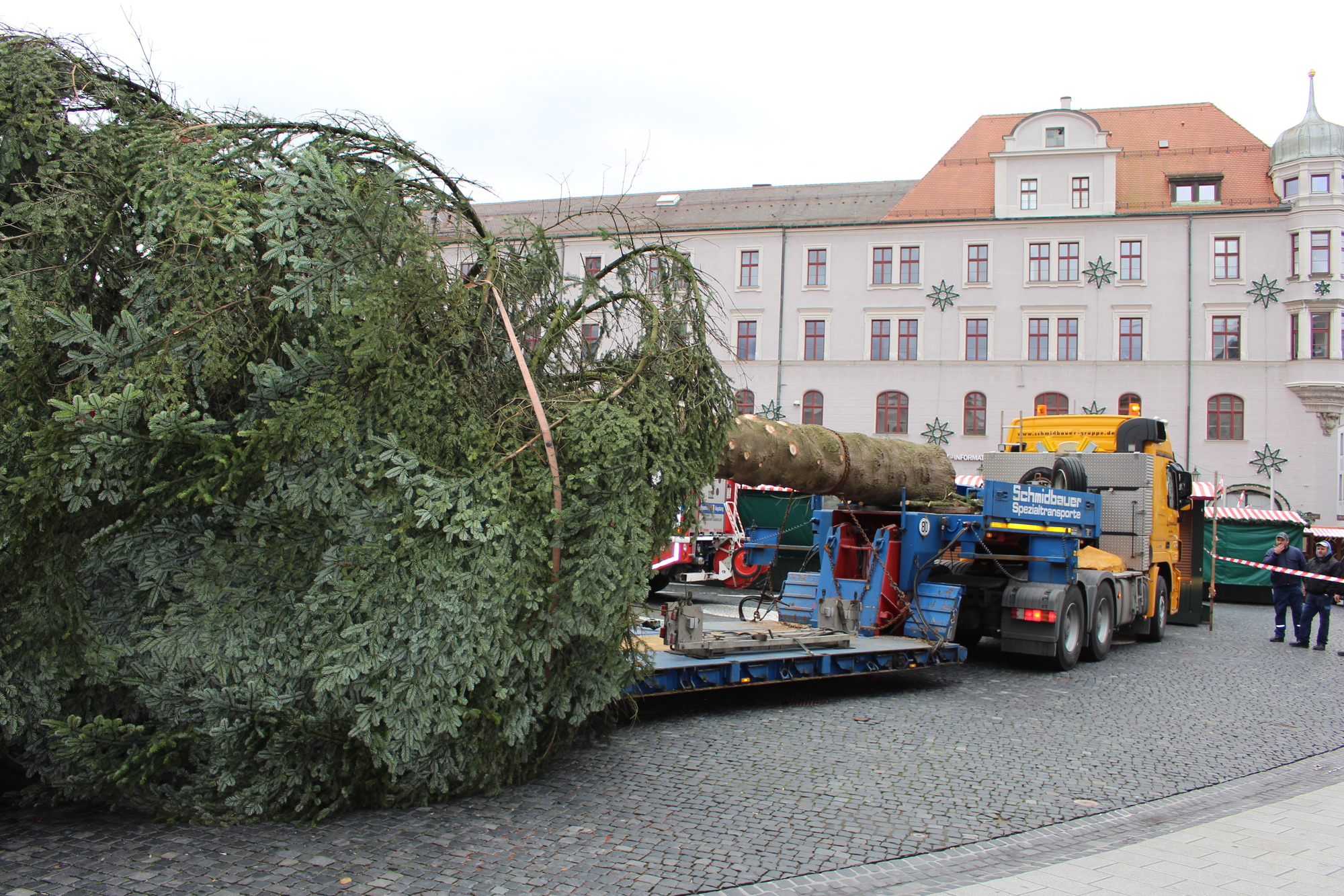 Der Christbaum 2016 in Augsburg. Foto: B4B WIRTSCHAFTSLEBEN SCHWABEN