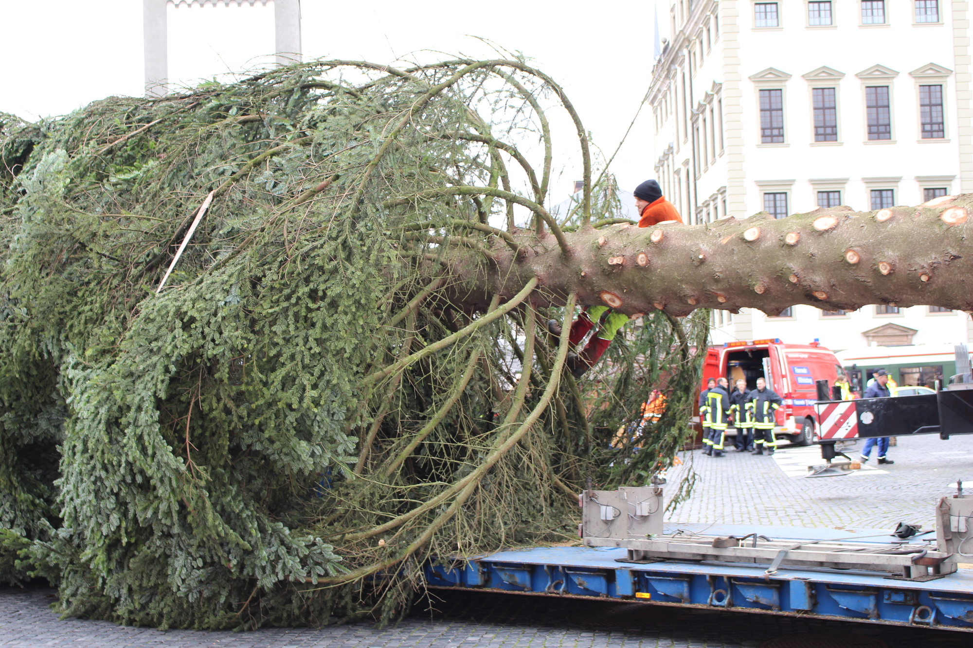 Der Christbaum 2016 in Augsburg. Foto: B4B WIRTSCHAFTSLEBEN SCHWABEN
