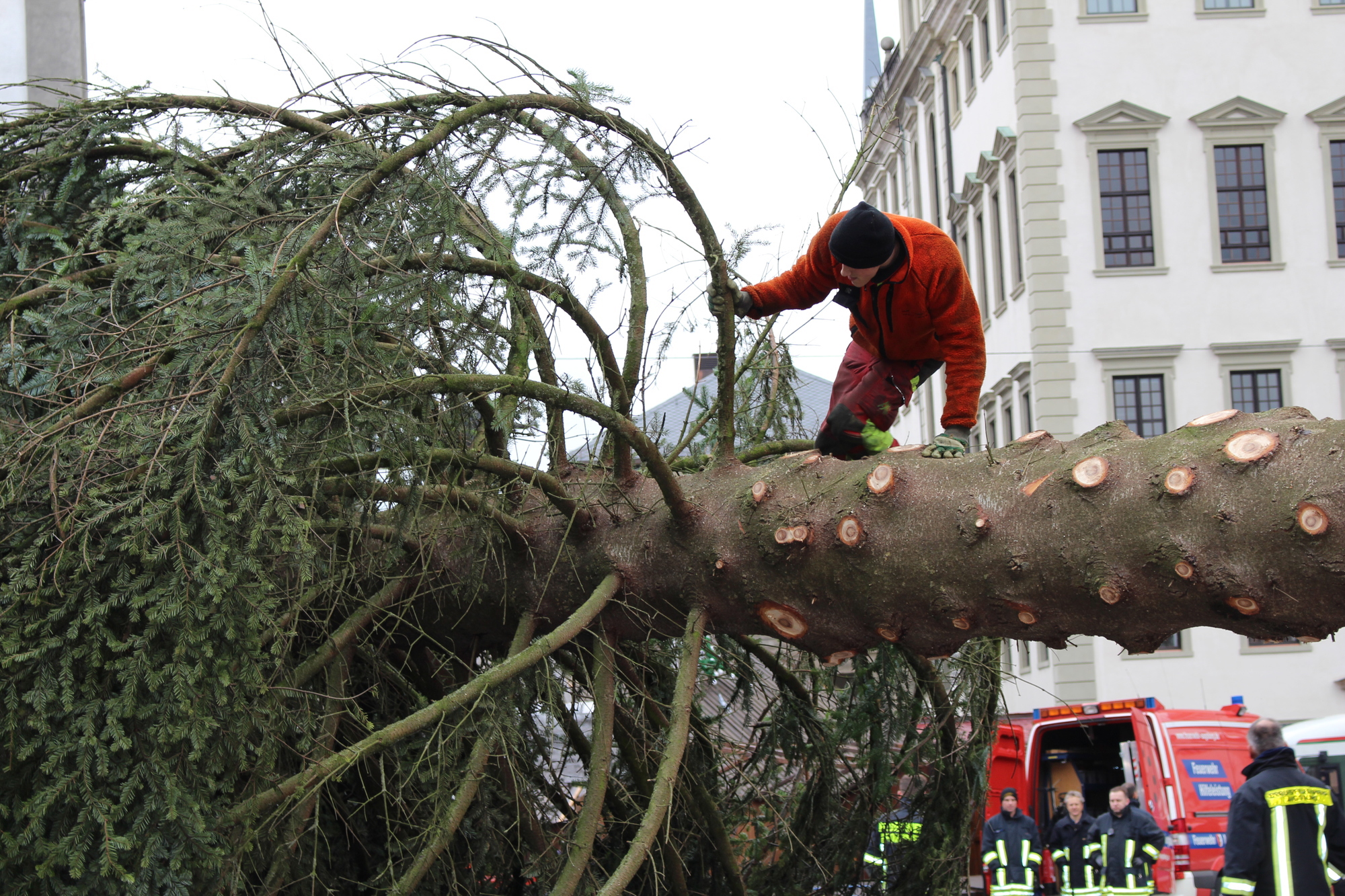 Der Christbaum 2016 in Augsburg. Foto: B4B WIRTSCHAFTSLEBEN SCHWABEN