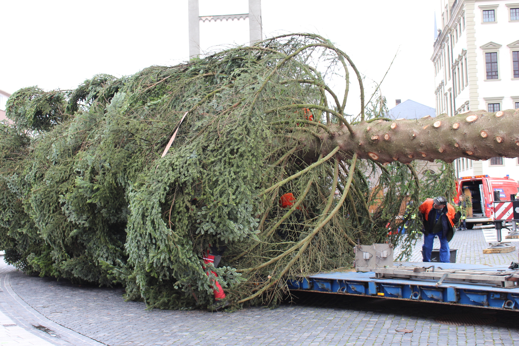 Der Christbaum 2016 in Augsburg. Foto: B4B WIRTSCHAFTSLEBEN SCHWABEN