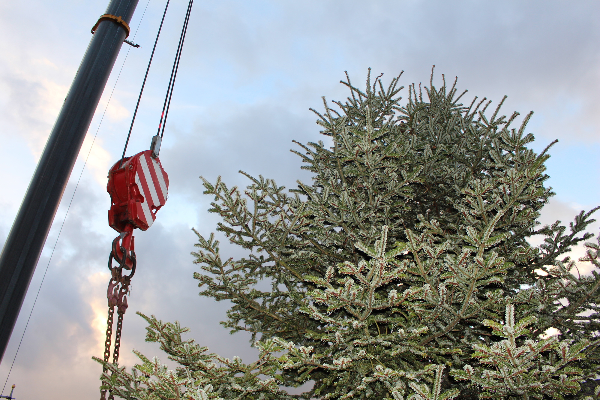 Der Christbaum 2016 in Augsburg. Foto: B4B WIRTSCHAFTSLEBEN SCHWABEN