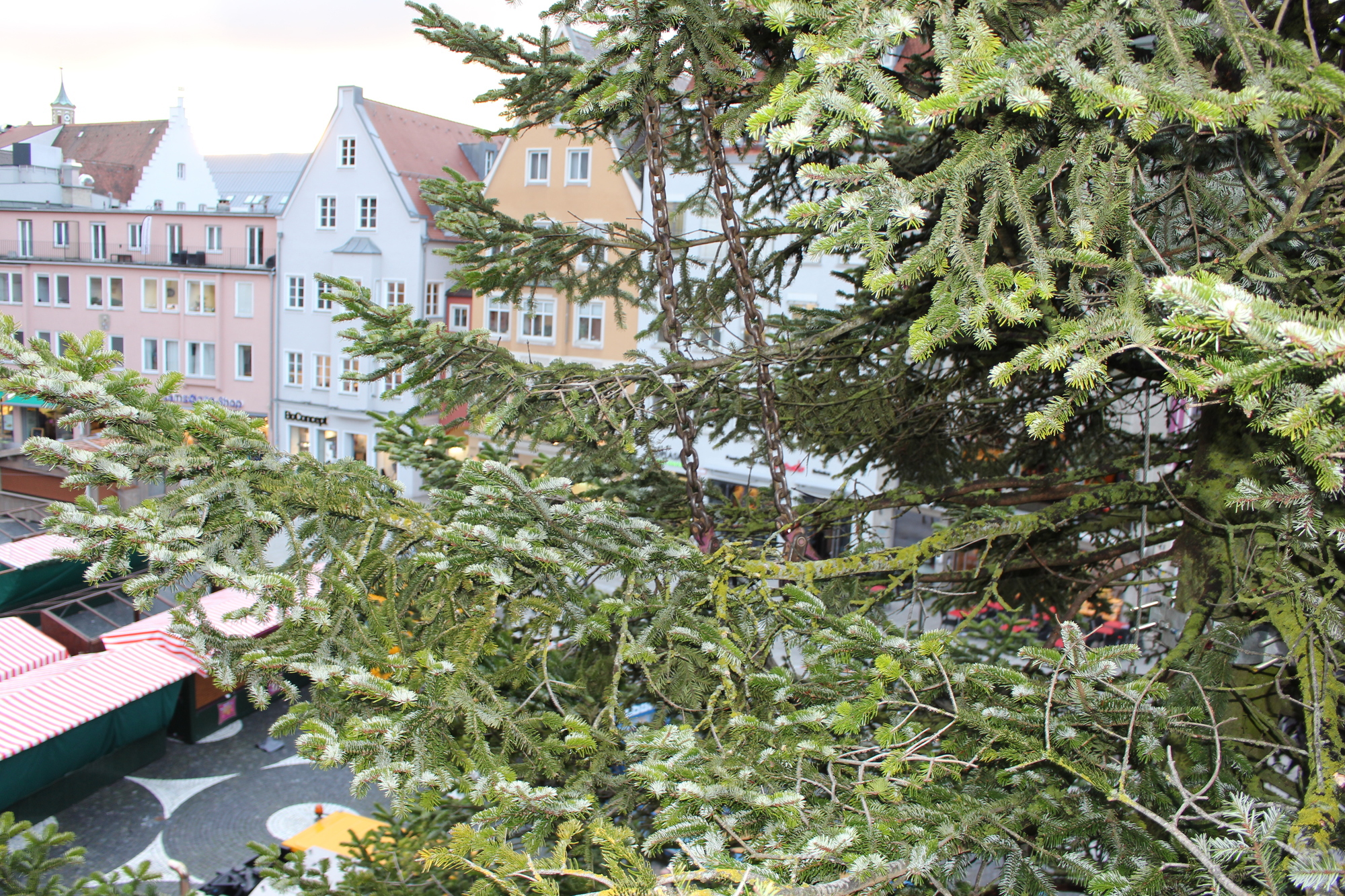 Der Christbaum 2016 in Augsburg. Foto: B4B WIRTSCHAFTSLEBEN SCHWABEN