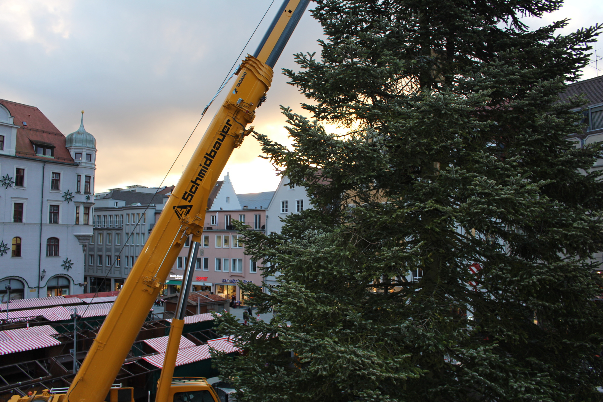 Der Christbaum 2016 in Augsburg. Foto: B4B WIRTSCHAFTSLEBEN SCHWABEN