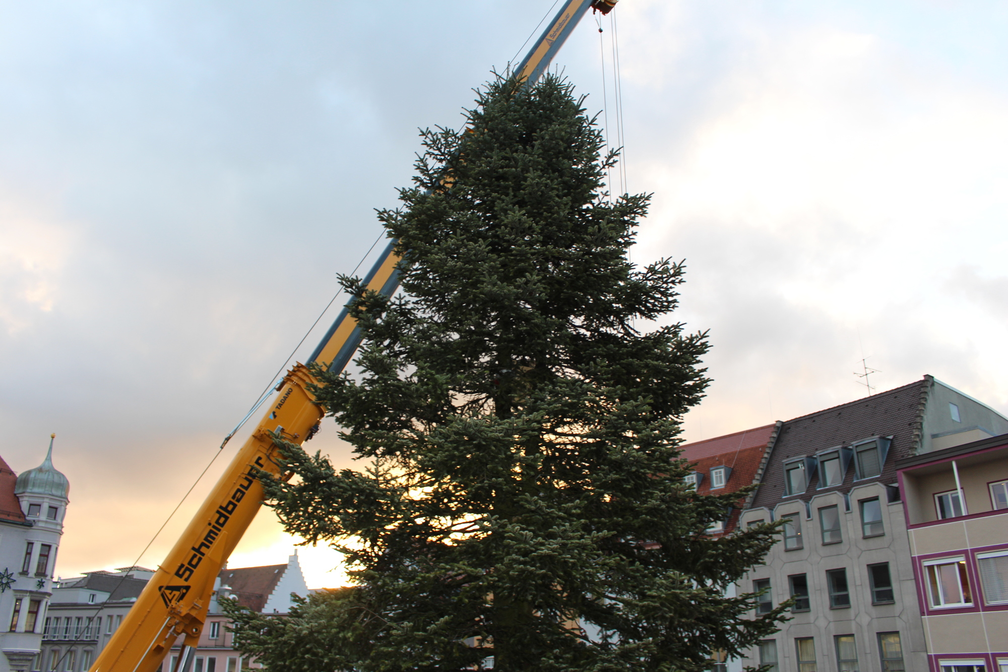Der Christbaum 2016 in Augsburg. Foto: B4B WIRTSCHAFTSLEBEN SCHWABEN