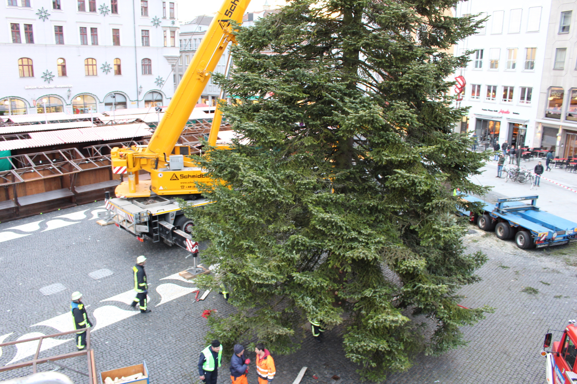 Der Christbaum 2016 in Augsburg. Foto: B4B WIRTSCHAFTSLEBEN SCHWABEN