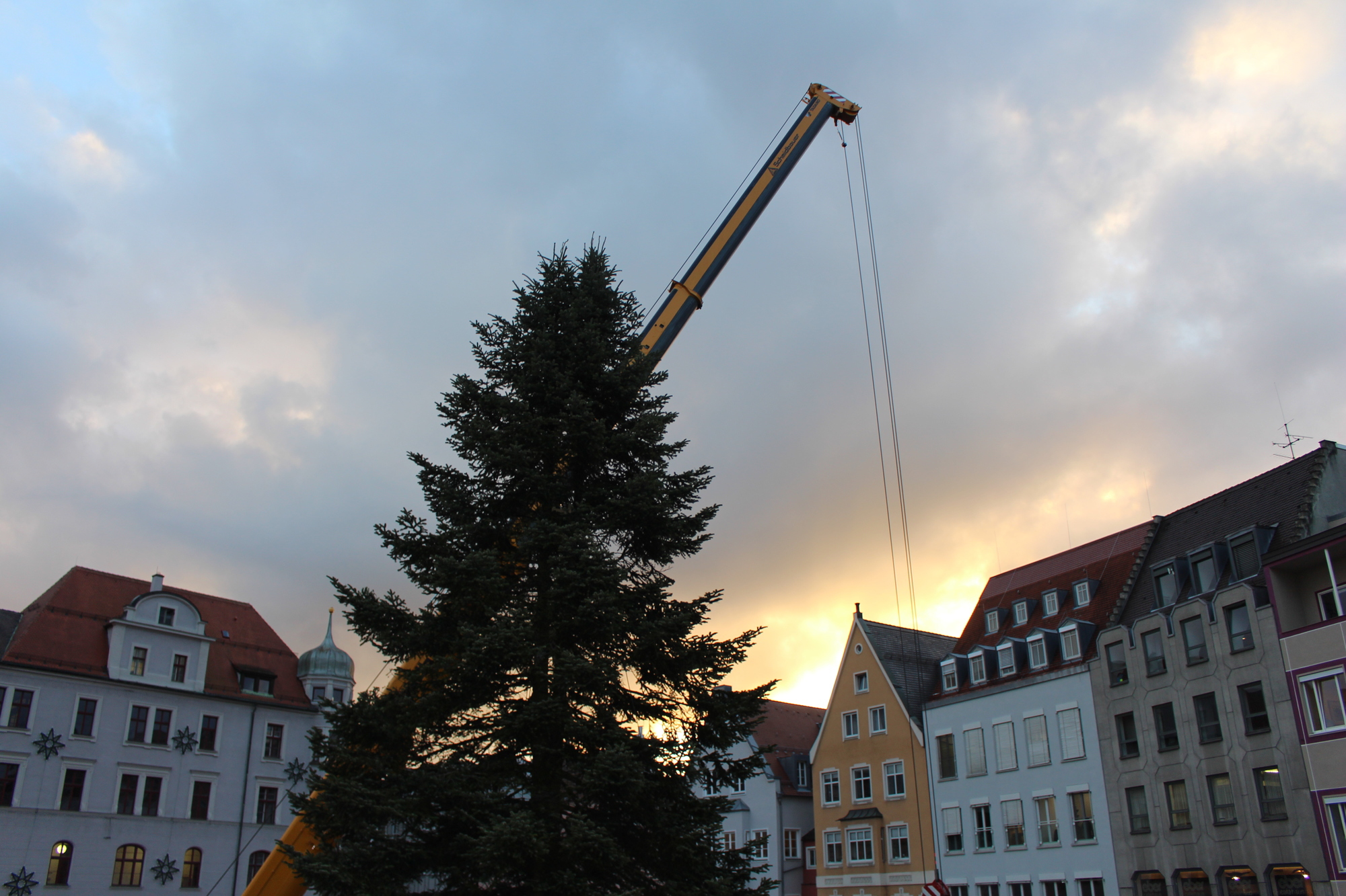 Der Christbaum 2016 in Augsburg. Foto: B4B WIRTSCHAFTSLEBEN SCHWABEN