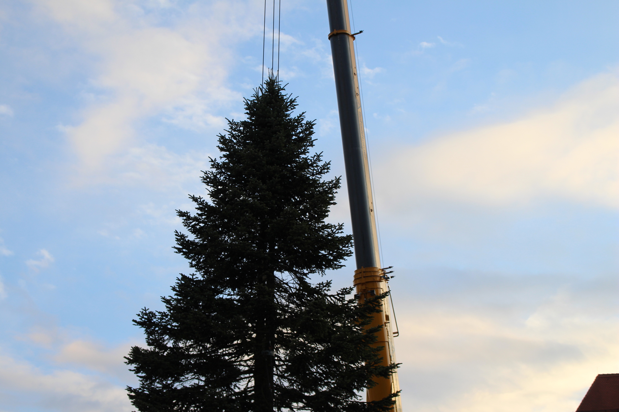 Der Christbaum 2016 in Augsburg. Foto: B4B WIRTSCHAFTSLEBEN SCHWABEN