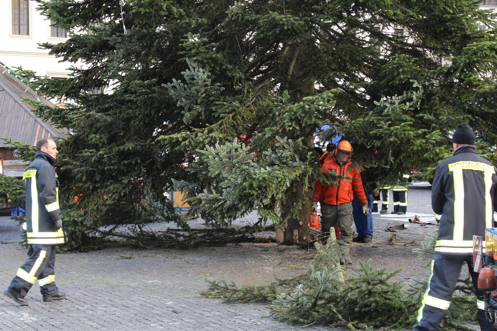 Der Christbaum 2016 in Augsburg. Foto: B4B WIRTSCHAFTSLEBEN SCHWABEN