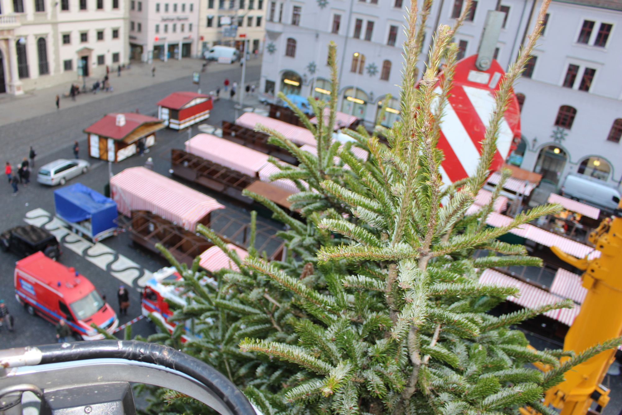 Der Christbaum 2016 in Augsburg. Foto: B4B WIRTSCHAFTSLEBEN SCHWABEN