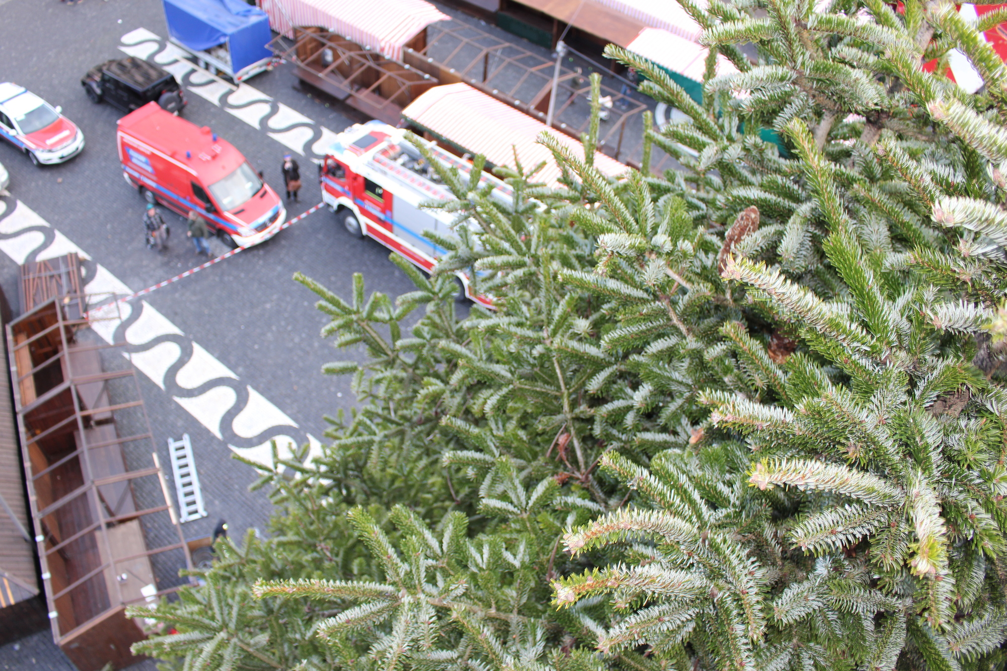Der Christbaum 2016 in Augsburg. Foto: B4B WIRTSCHAFTSLEBEN SCHWABEN