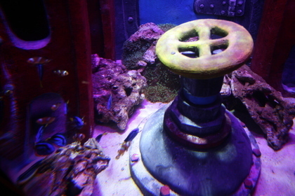 Atlantis Eröffnung