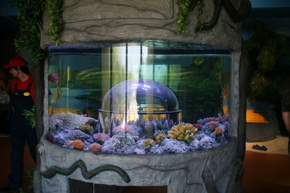 Atlantis Eröffnung