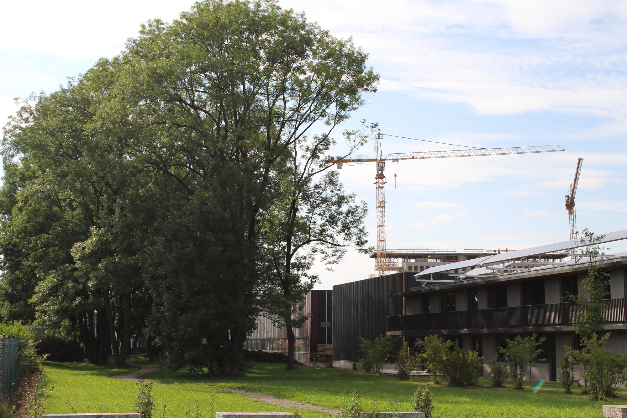 Im Hintergrund sind auch von hier aus die Baumaßnahmen am Sheridan Tower zu sehen.