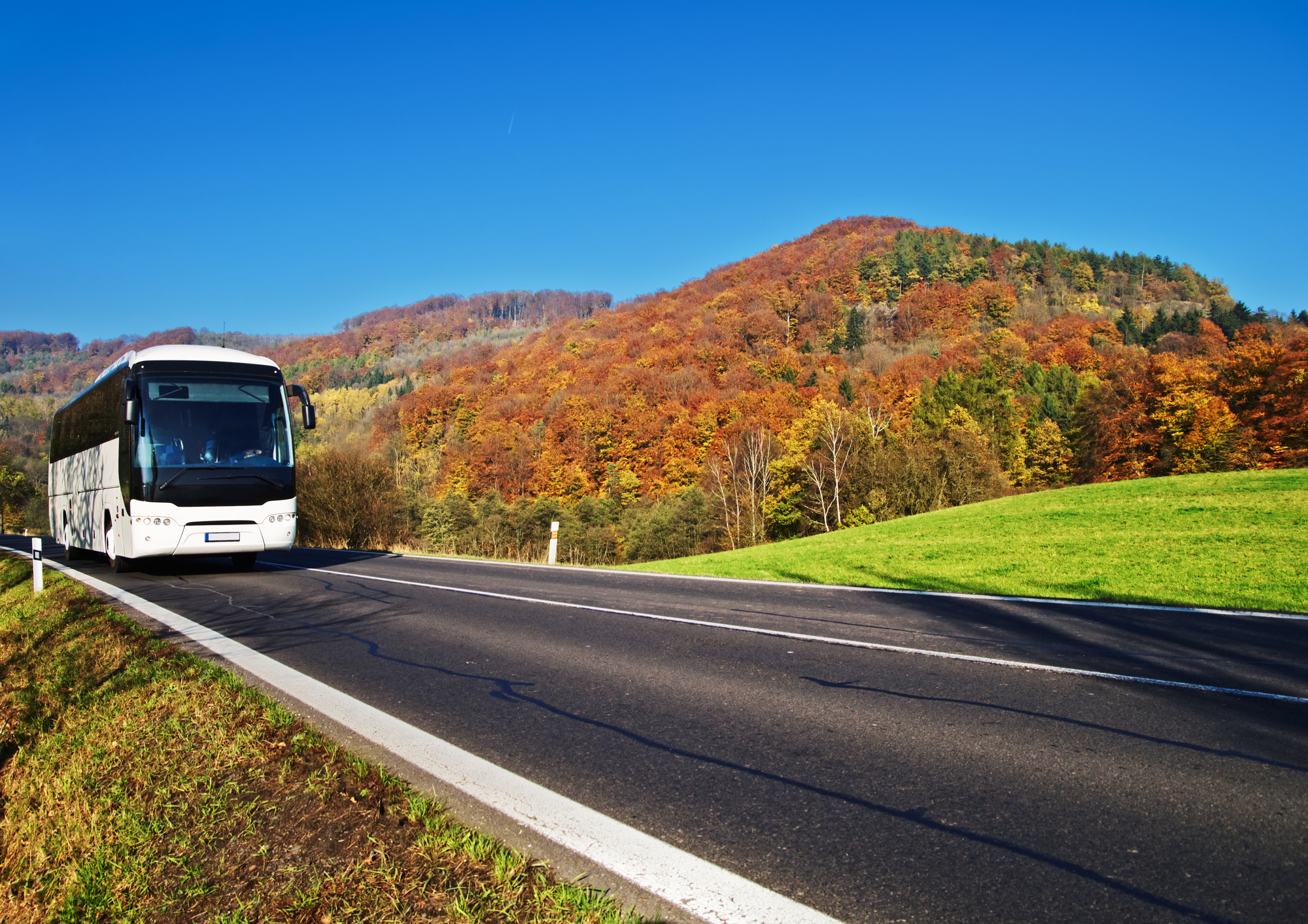 Symbolbild. Foto: iStock / Milos-Muller
