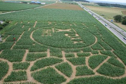 Maislabyrinth Seligweiler