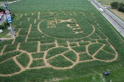 Maislabyrinth Seligweiler