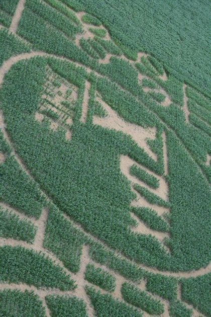 Maislabyrinth Seligweiler