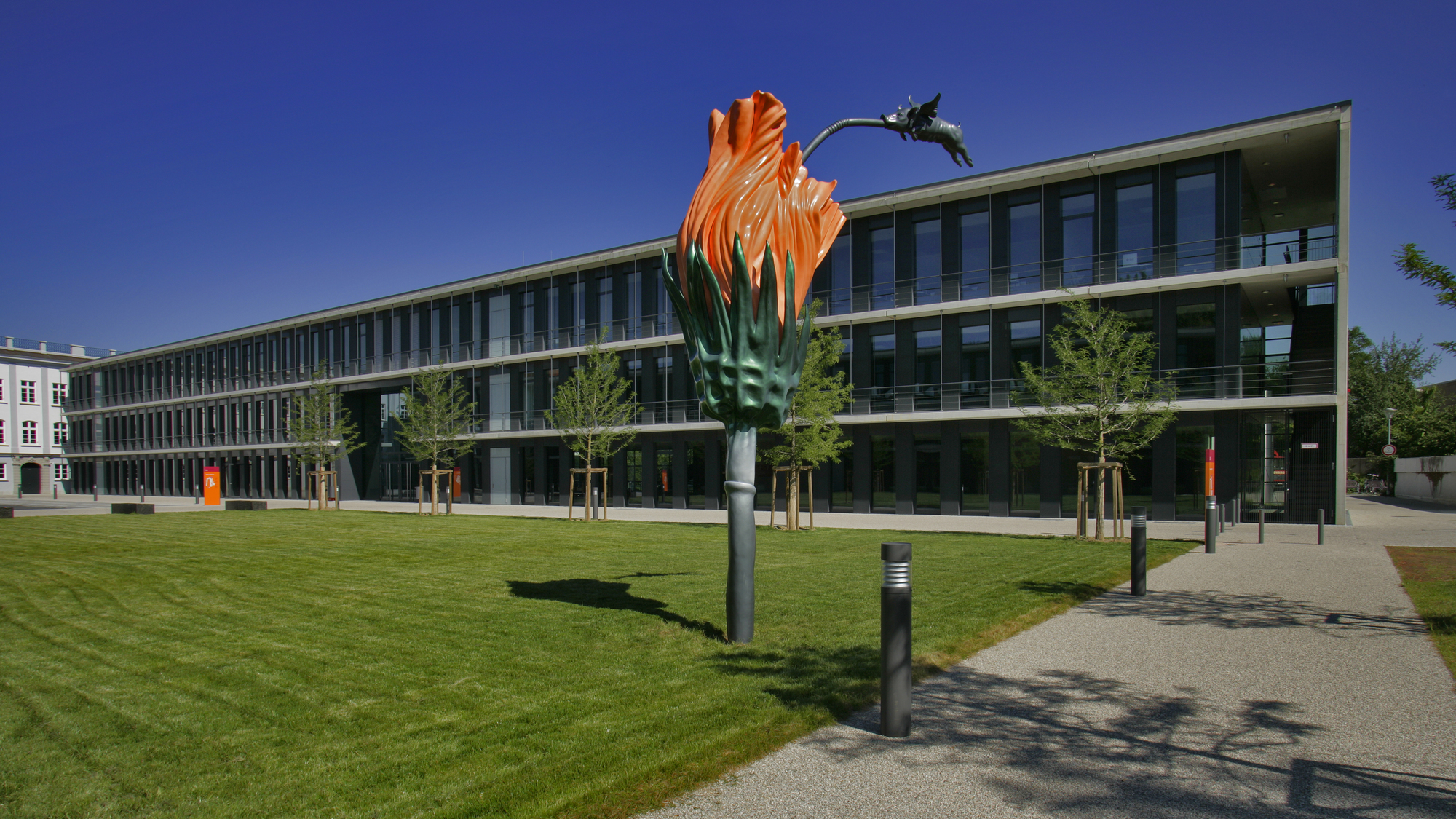 Foto: Martin Duckek, Ulm