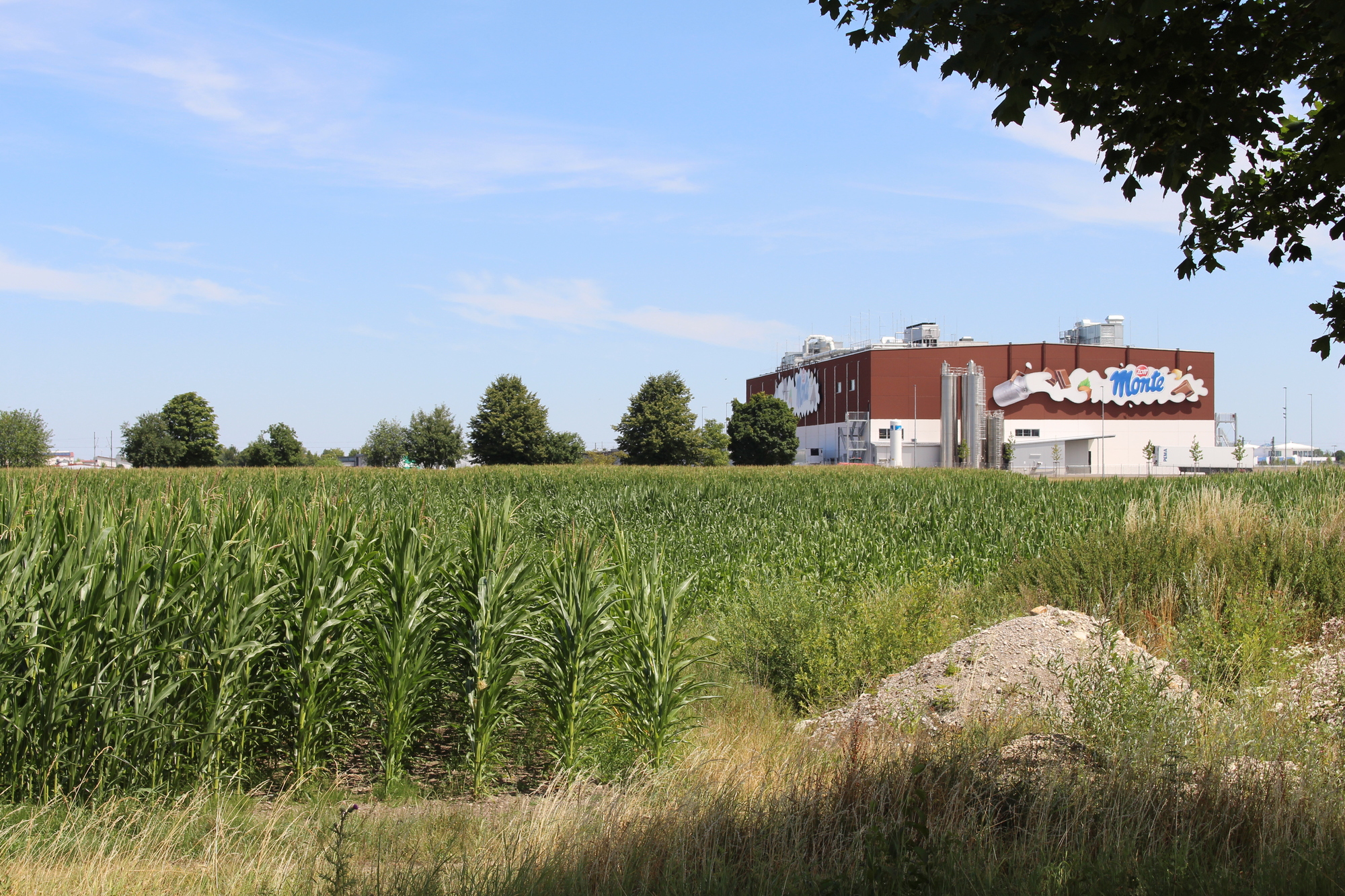 Das neue Grundstück befindet sich direkt gegenüber vom Firmensitz von GEDA. Foto: Angelina Märkl/B4B WIRTSCHAFTSLEBEN SCHWABEN
