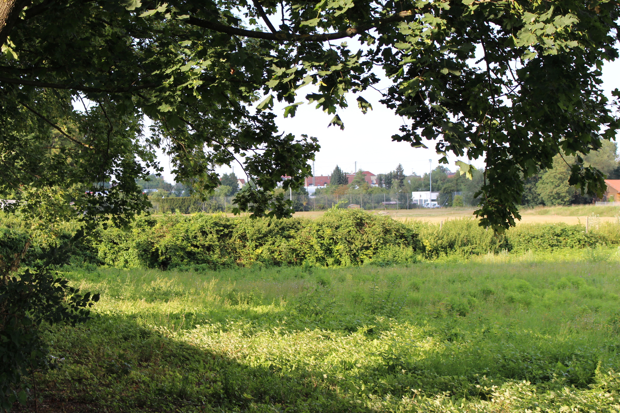 Blick Richtung Sportplatz. Foto: B4B WIRTSCHAFTSLEBEN SCHWABEN