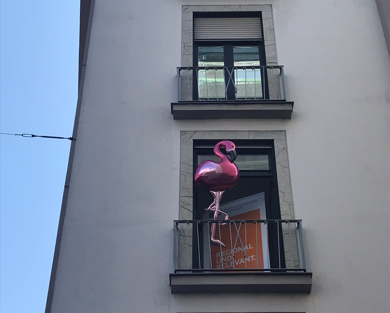 Ein Flamingo hat sich auch in unsere Redaktion verirrt. Foto: B4B WIRTSCHAFTSLEBEN SCHWABEN