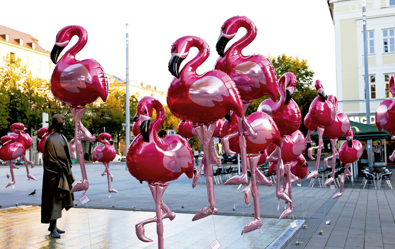 Die Flamingo-Marketing-Aktion von SportBrain für die Stadtwerke Augsburg. Foto: SportBrain