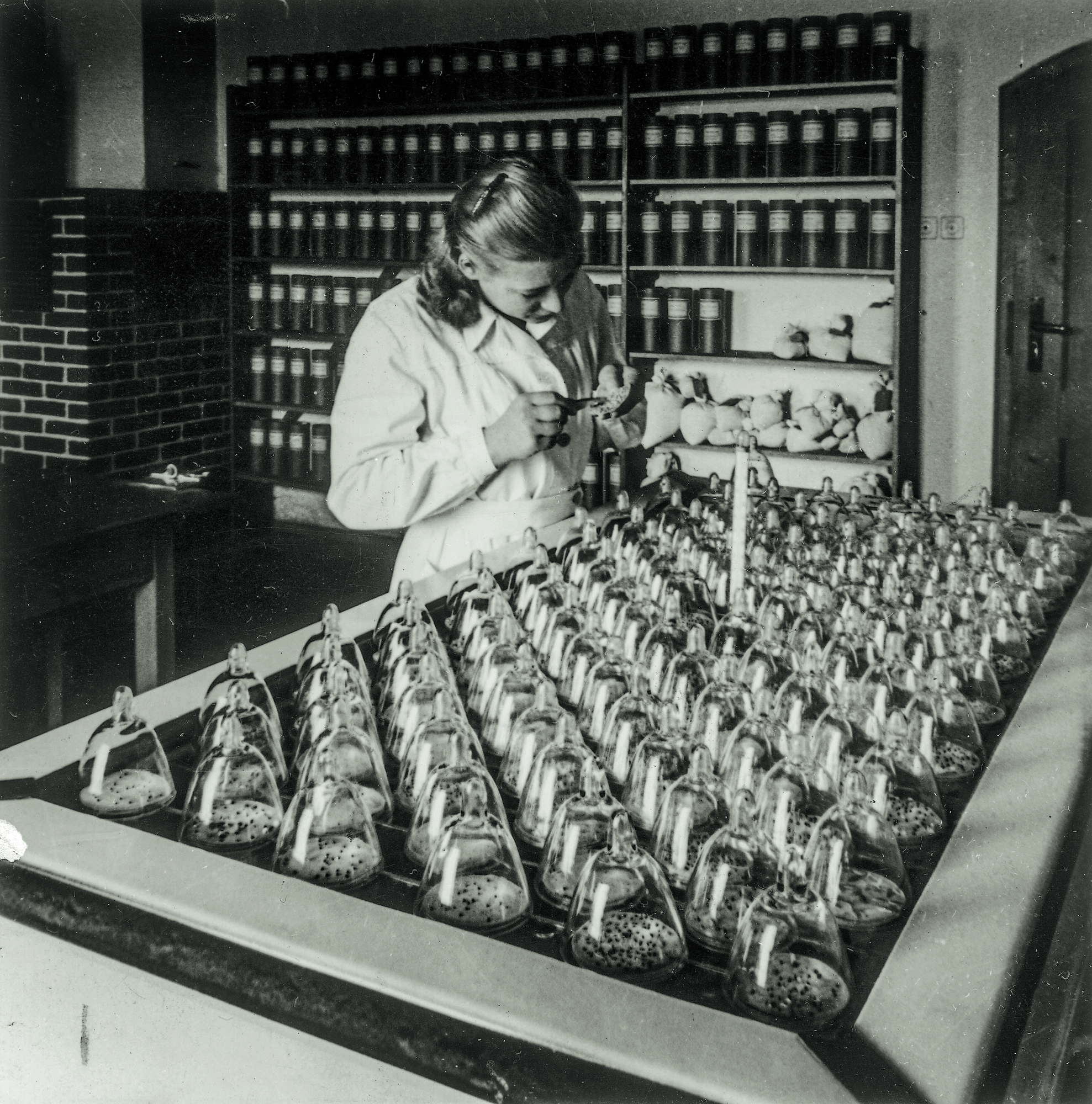 Blick ins Samenlabor. Foto: Dehner