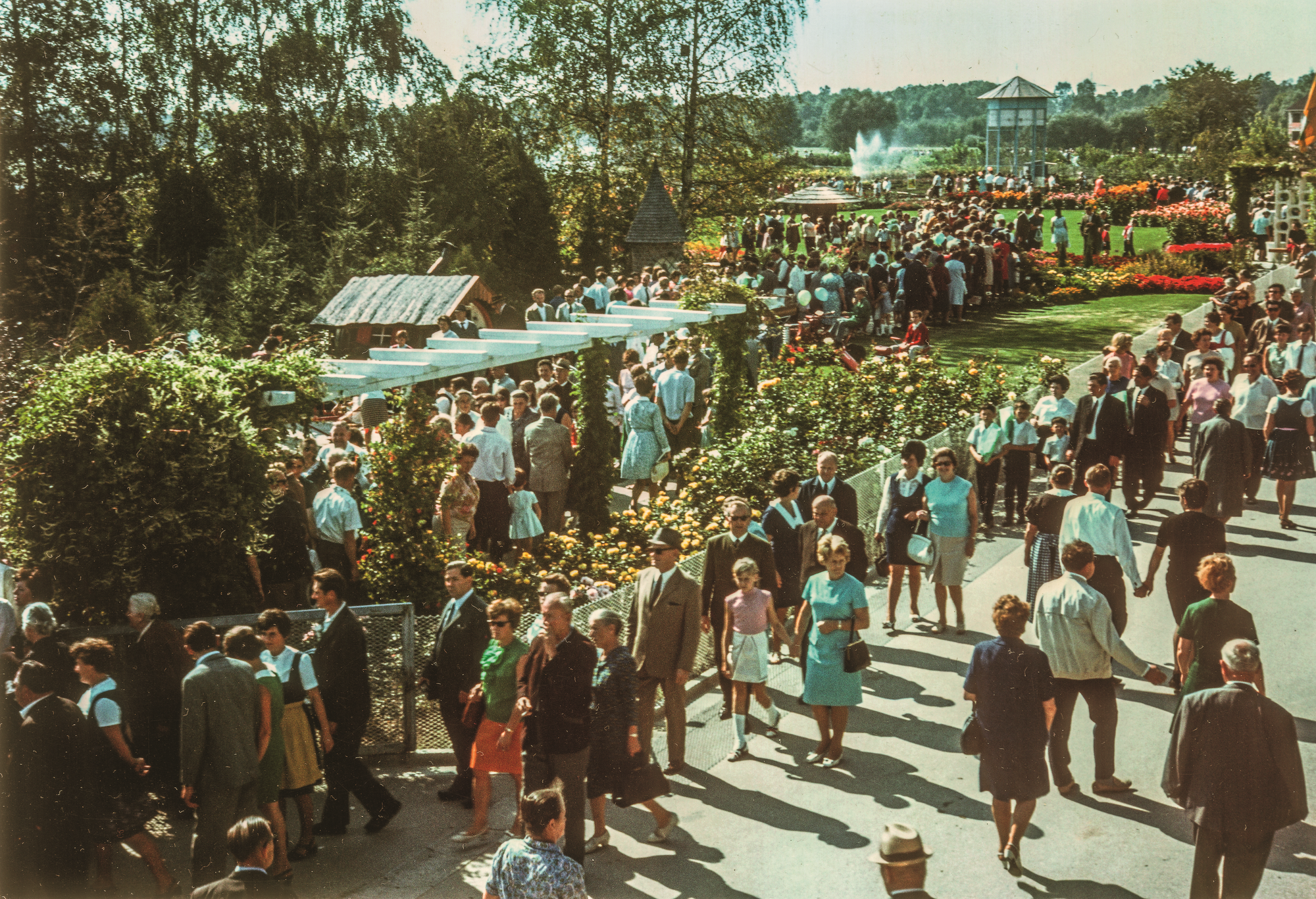 Blumenschau in Rain. Foto: Dehner