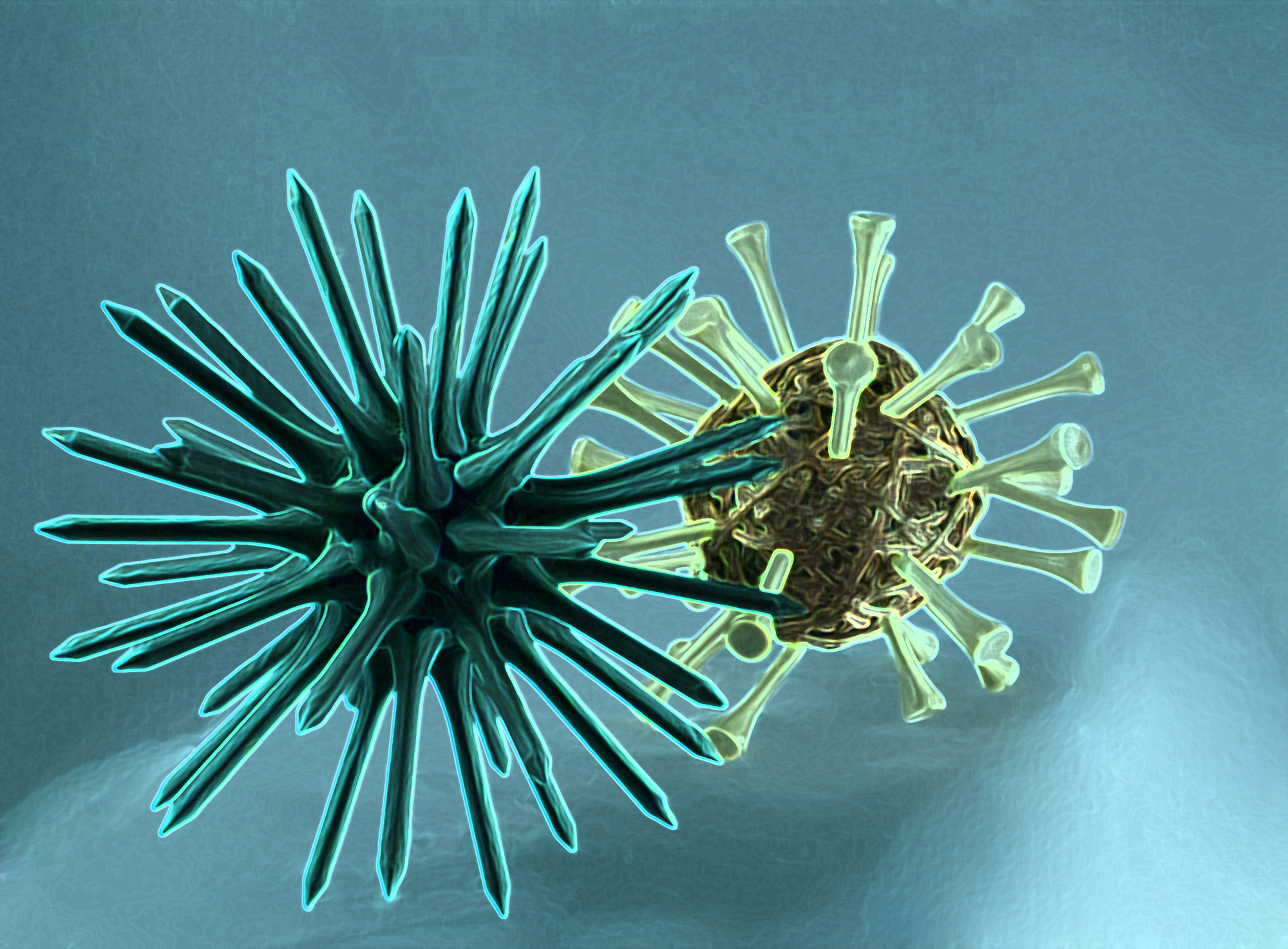 Symbolbild. Das Zollamt beantwortet die häufigsten Fragen zum Corona-Virus. Foto: Aka/pixelio.de