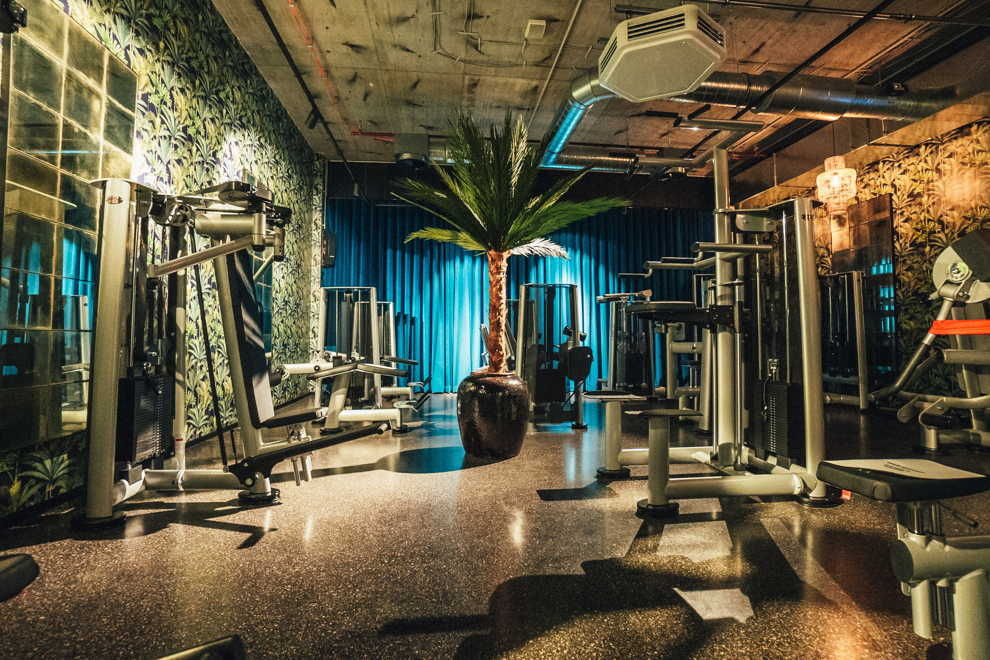Rezensionen Für John Reed Fitness Augsburg