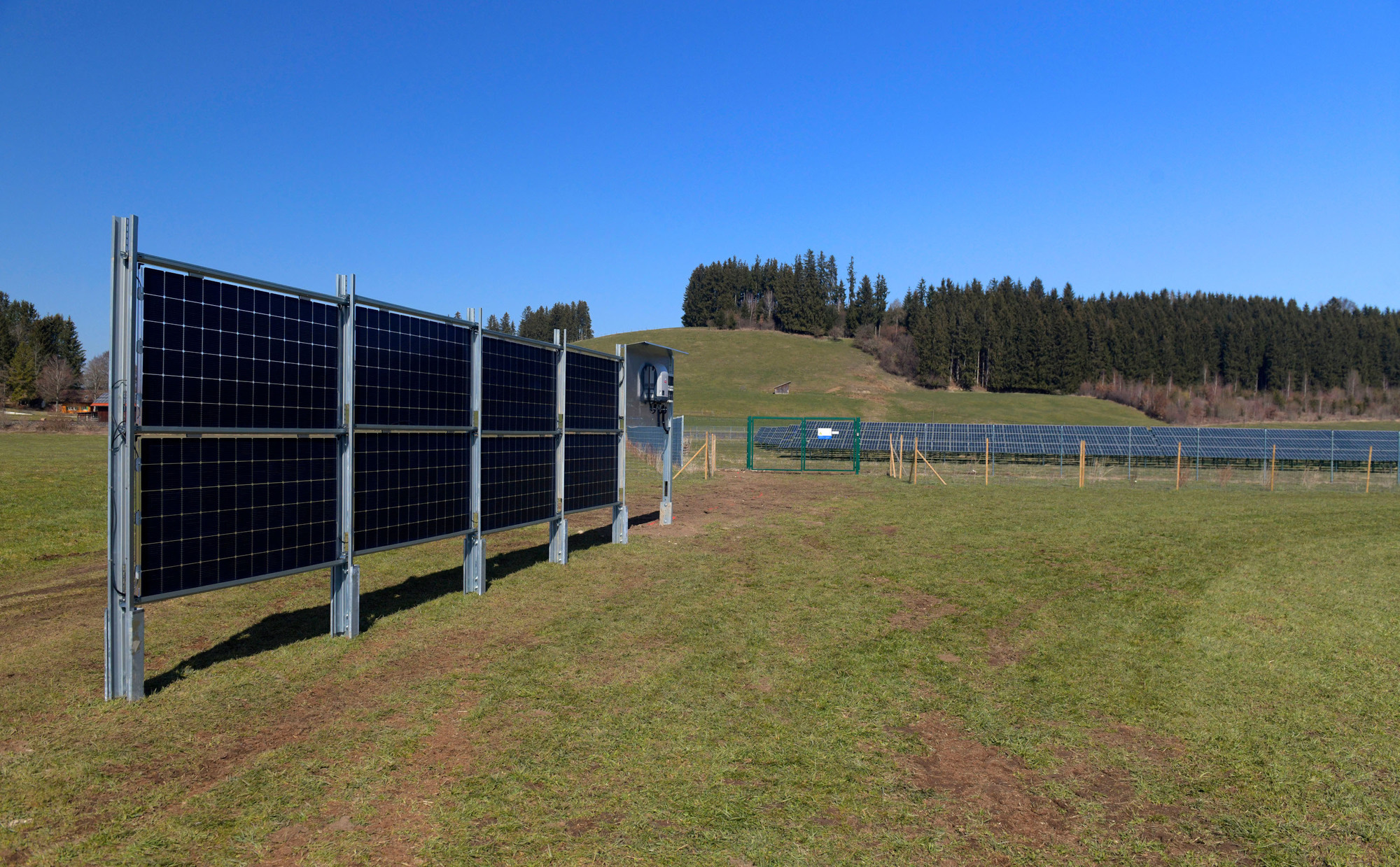 Auch neben dem Solarpark in Biessenhofen hat LEW eine Agri-PV-Testanlage installiert. Die neuen, knapp unter drei Meter hohen Anlagen sind so derselben Sonneneinstrahlung ausgesetzt wie die herkömmlichen Module. Foto: LEW / Bernd Feil