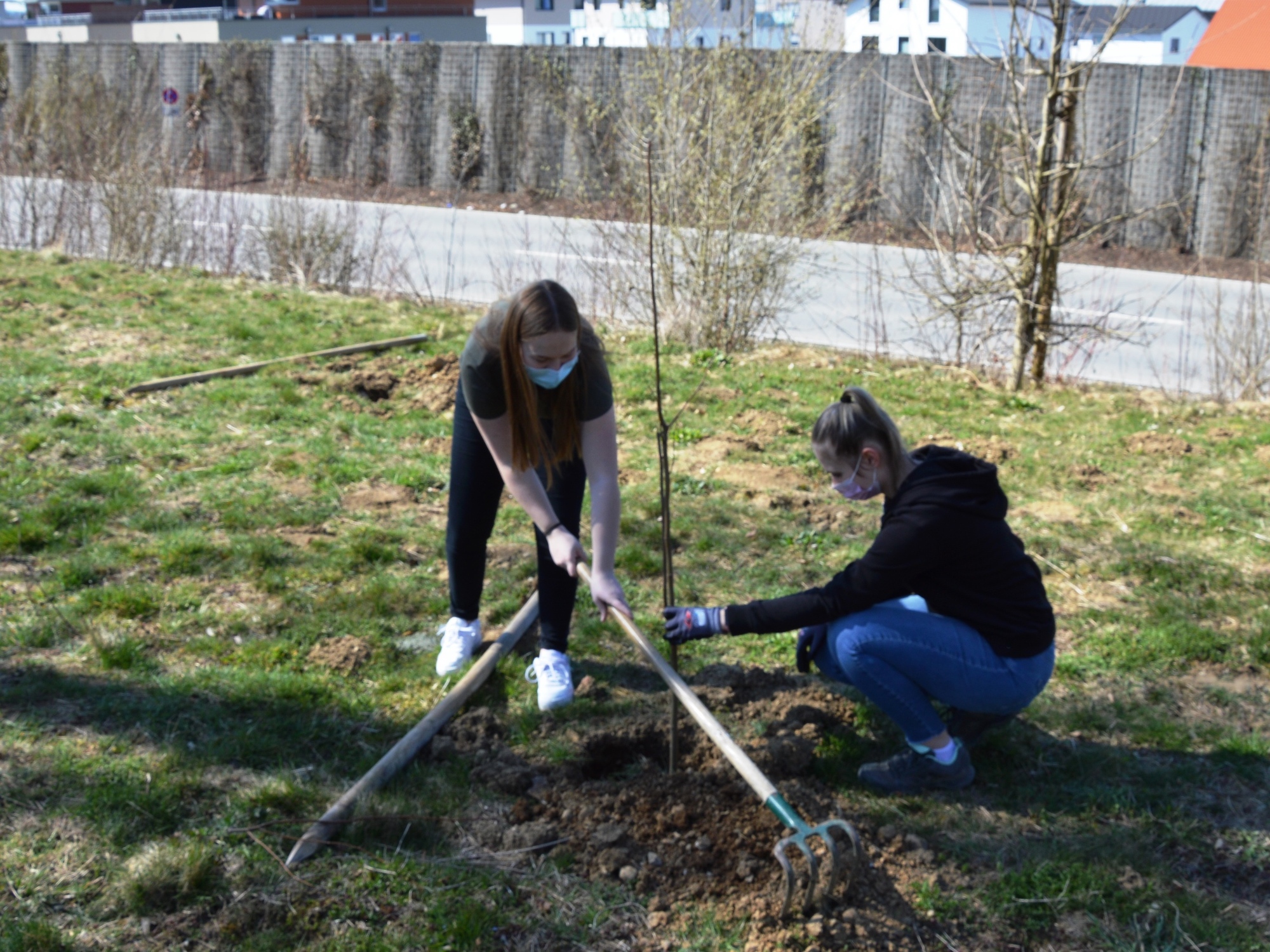 Bei einem neuen Azubi-Projekt wollen junge Menschen bei Berger die Umwelt unterstützen. Foto: Berger