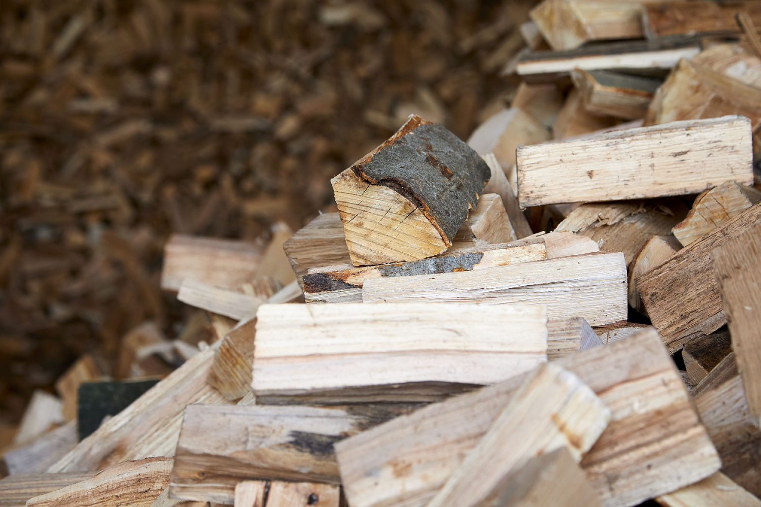 Das Holzforum Allgäu nahm regionale Holzprodukte im Forschungsprojekt CarboRegio unter die Lupe. Foto: Holzforum Allgäu