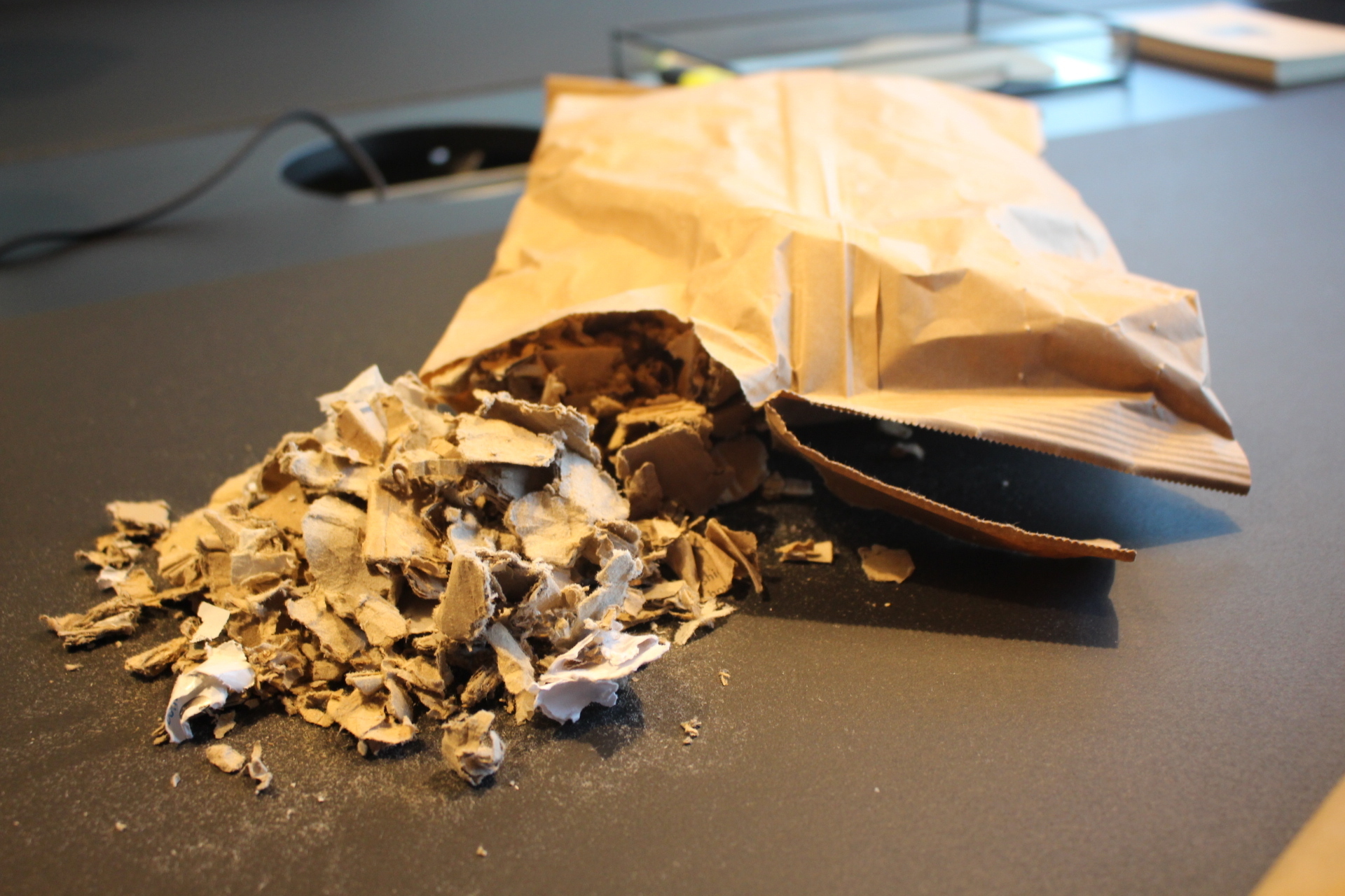 Mit Papier als Baumaterial, stellt Go-Event! eine bisher einmalige Büroausstattung in seinem Coworking-Space zur Verfügung. Foto