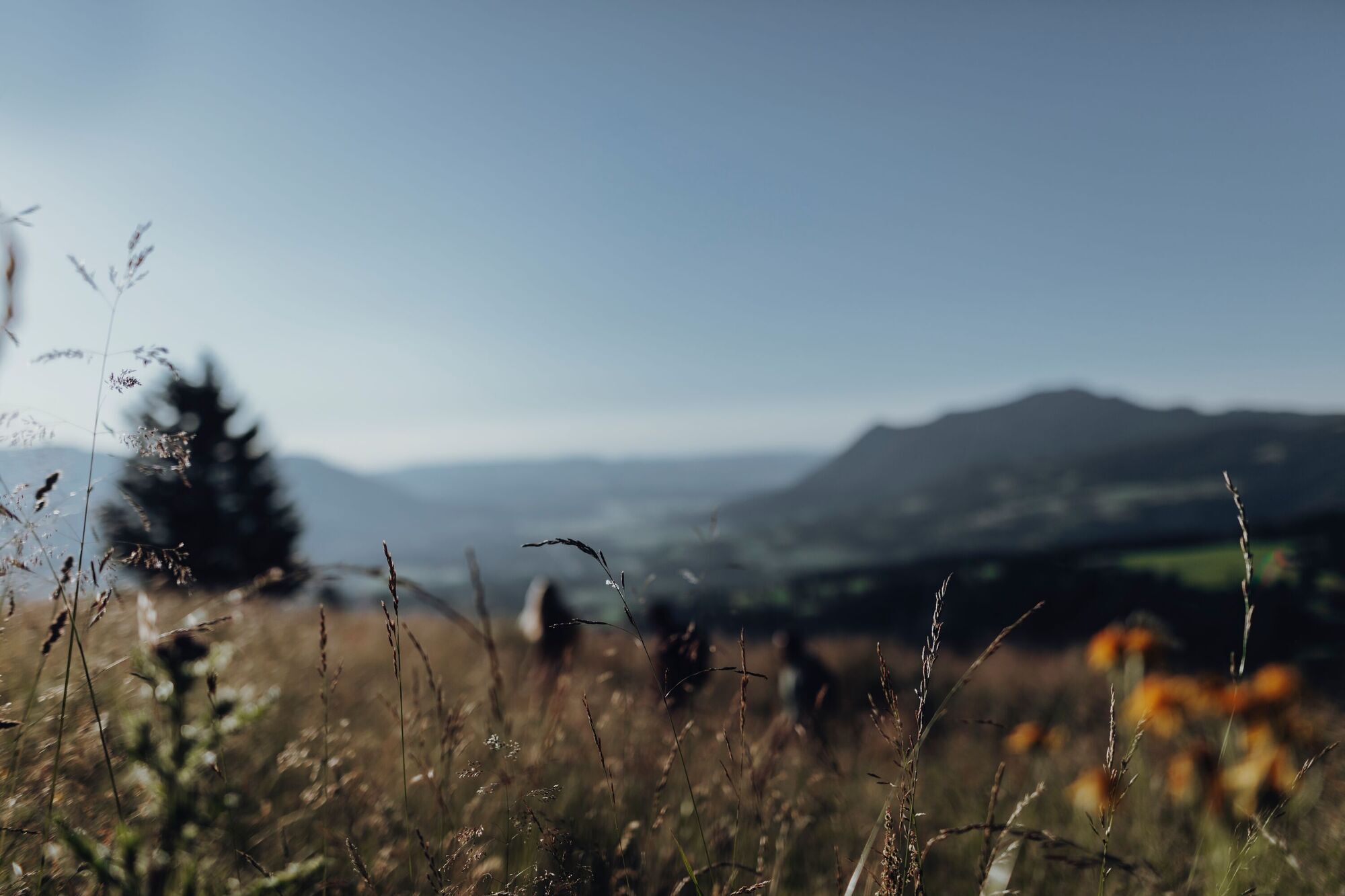 Foto: Allgäu GmbH / Philip Herzhoff