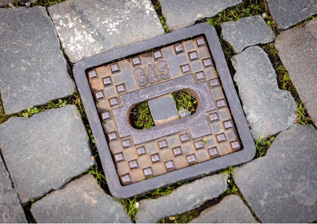 Symbolbild. Foto: Markus Schoeffler/stock.adobe.com