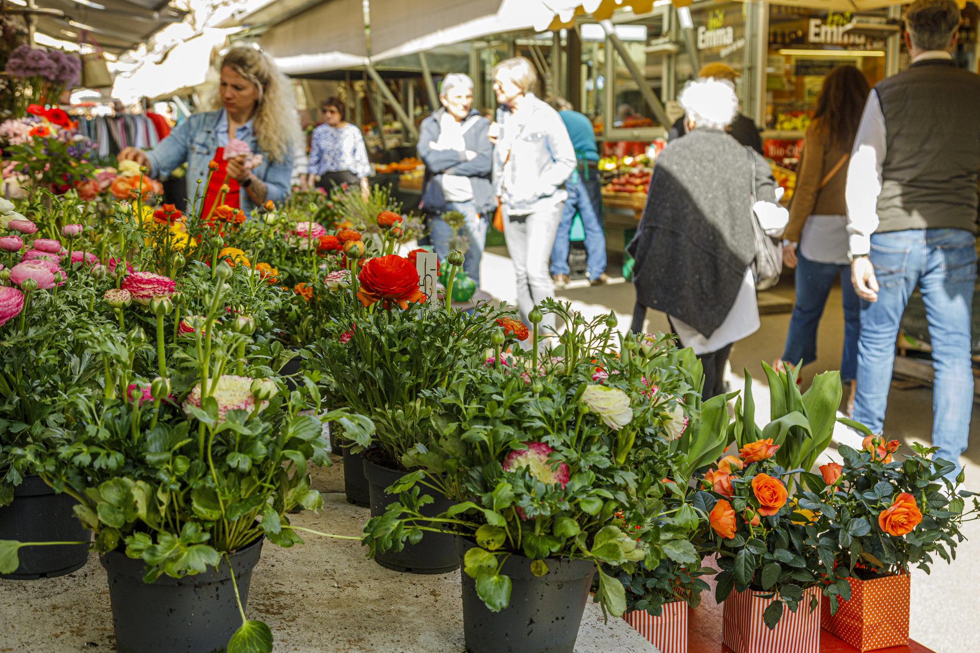 Symbolbild. Am Muttertag 2024 haben Blumenläden geöffnet. Foto: B4BSCHWABEN.de
