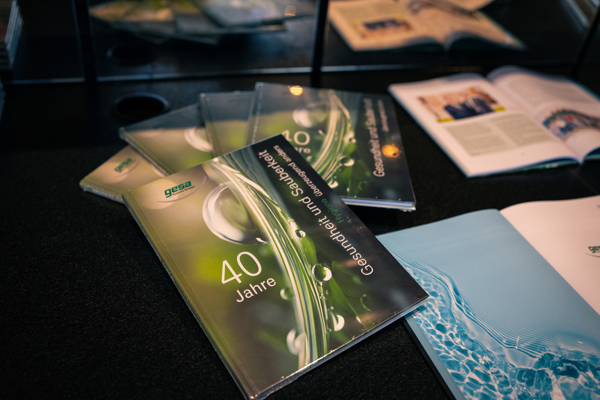 Bei der Jubiläumsfeier wurde den Gästen einiges geboten. Foto: Gesa Hygiene Gruppe