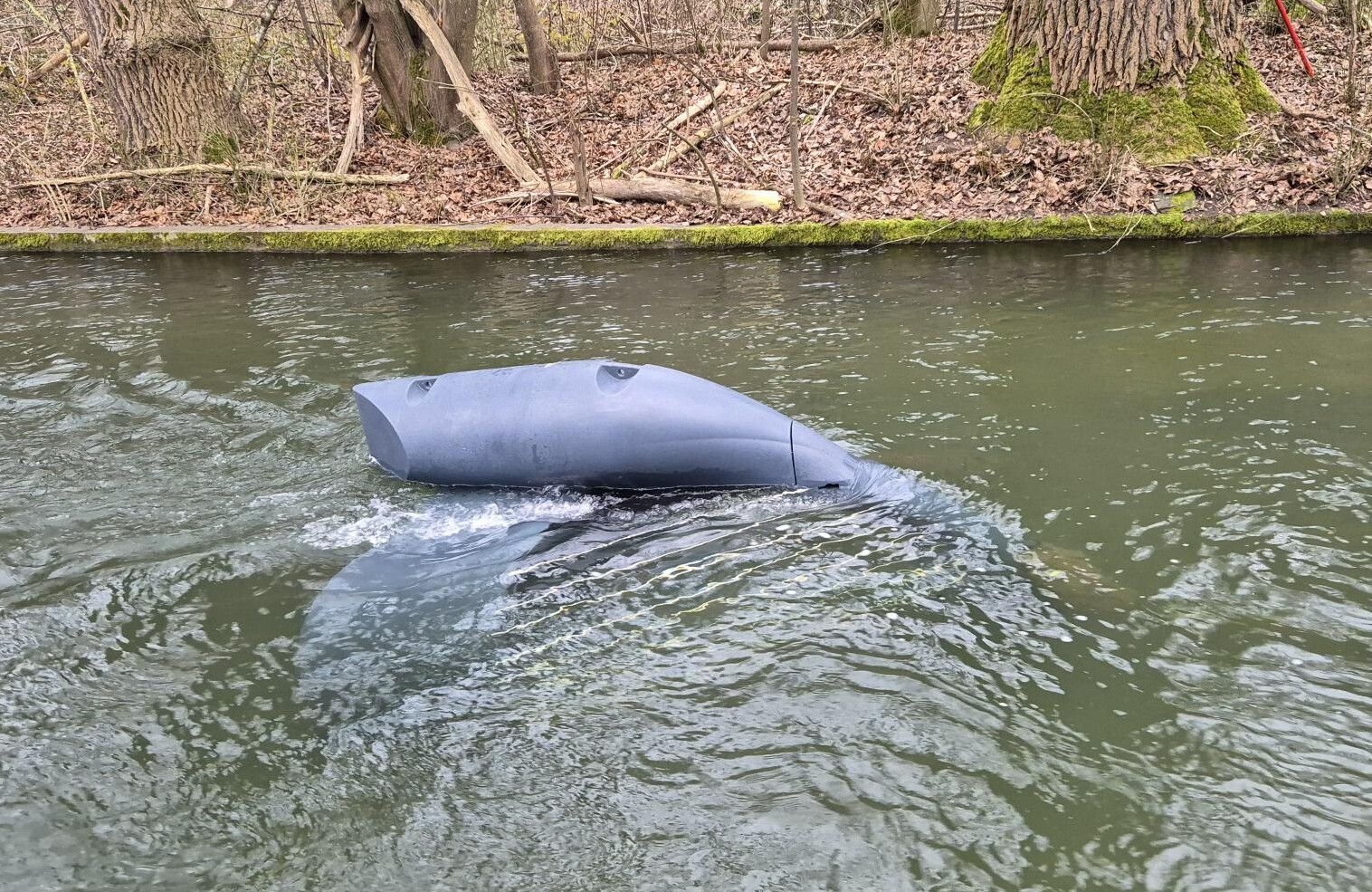 Energyfish im Wasser: Die Fließkraft erzeuge grundlastfähigen, CO₂-freien Strom, ohne Flora und Fauna zu beeinträchtigen. Foto: