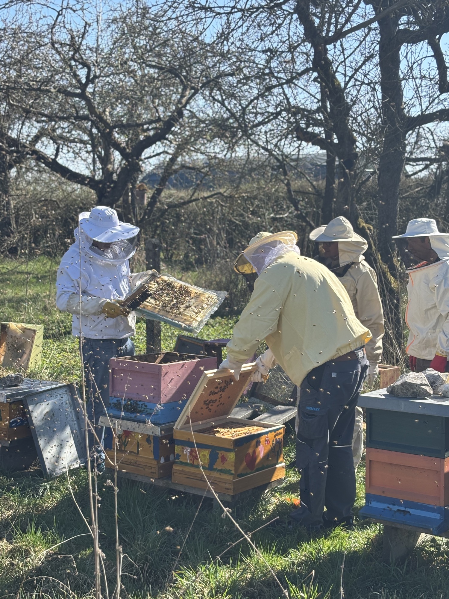 Wanzl startet nachhaltiges Projekt bee.wanzl