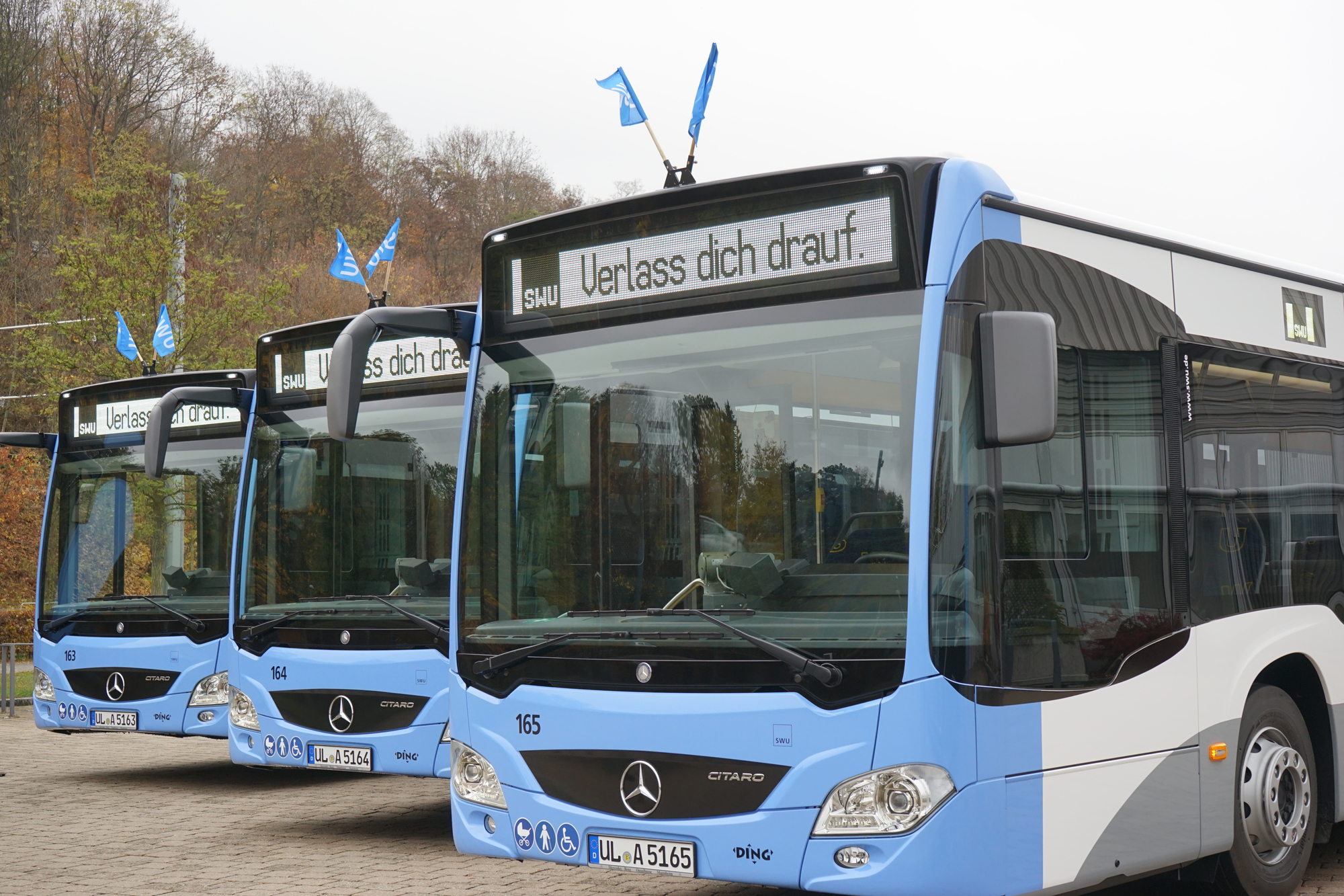 Busse der Stadtwerke Ulm/Neu-Ulm. Foto: SWU Stadtwerke Ulm/Neu-Ulm GmbH