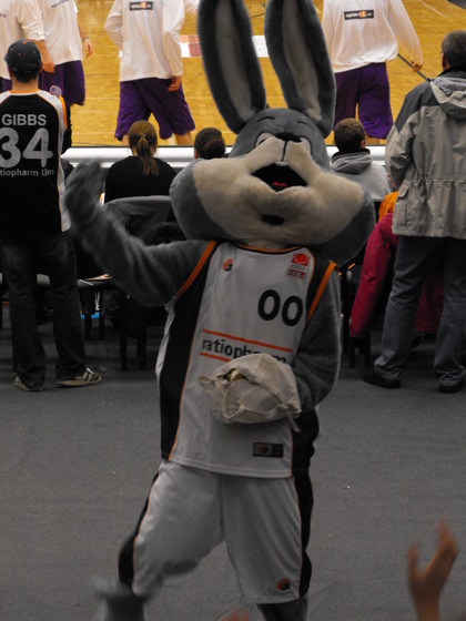 Basketball Alb Donau