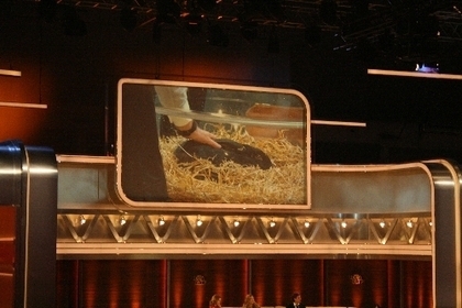 wetten, dass...?