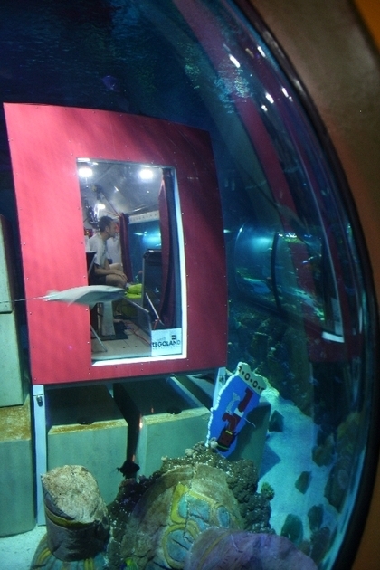 Rekordversuch im Legoland